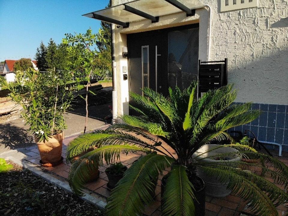 Modernes Studio Mit Separater Kueche Reutlingen Exterior foto